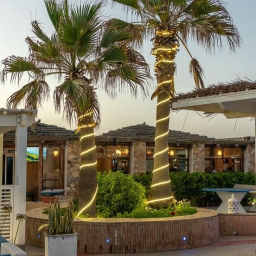 Mimid Dunes Beach Hotel Mirleft Exterior photo